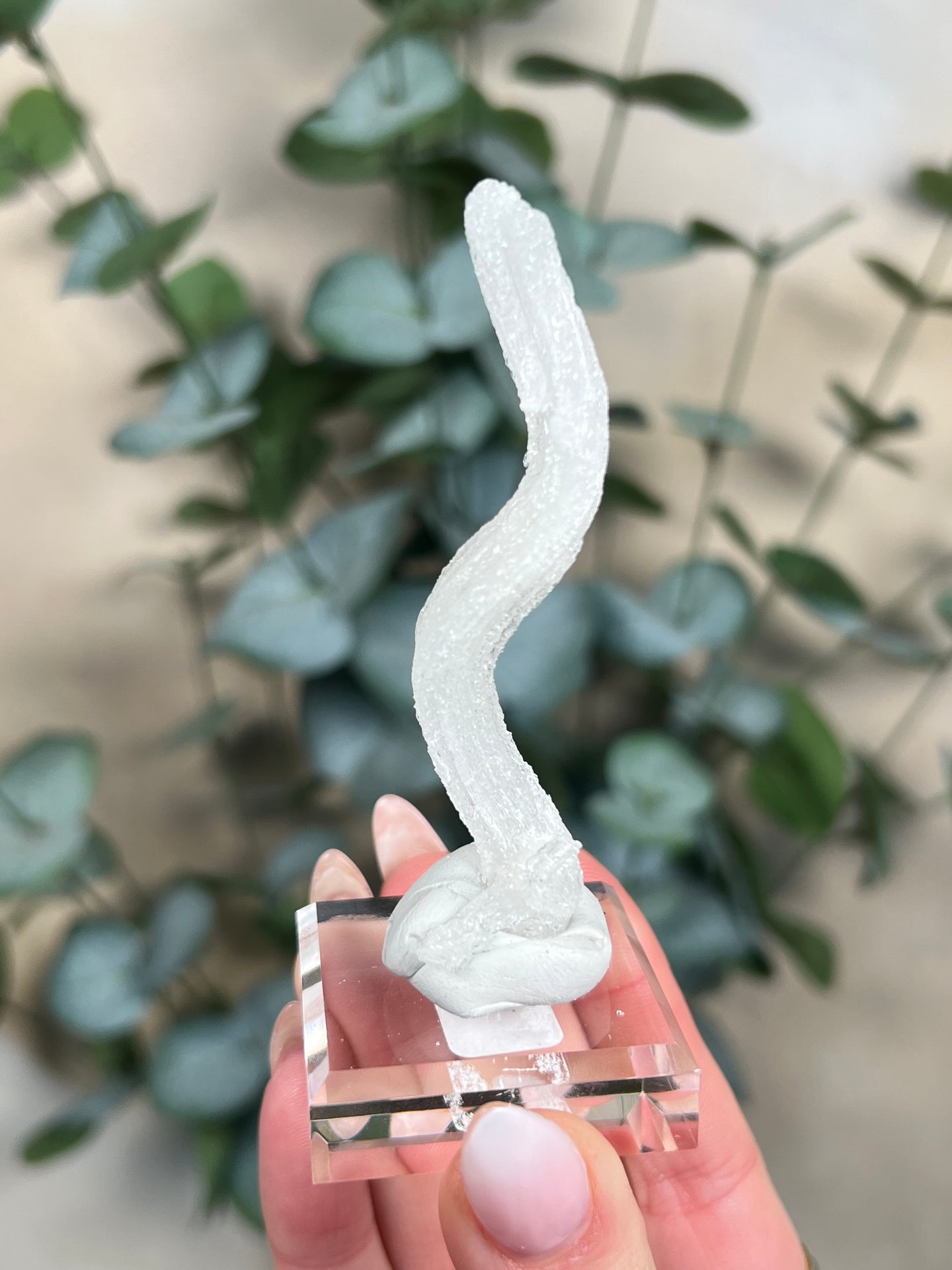 Horn Selenite (34EF)
